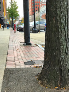Urban Tree Care