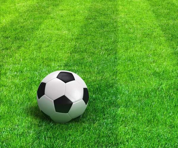 Soccer ball on mowed grass