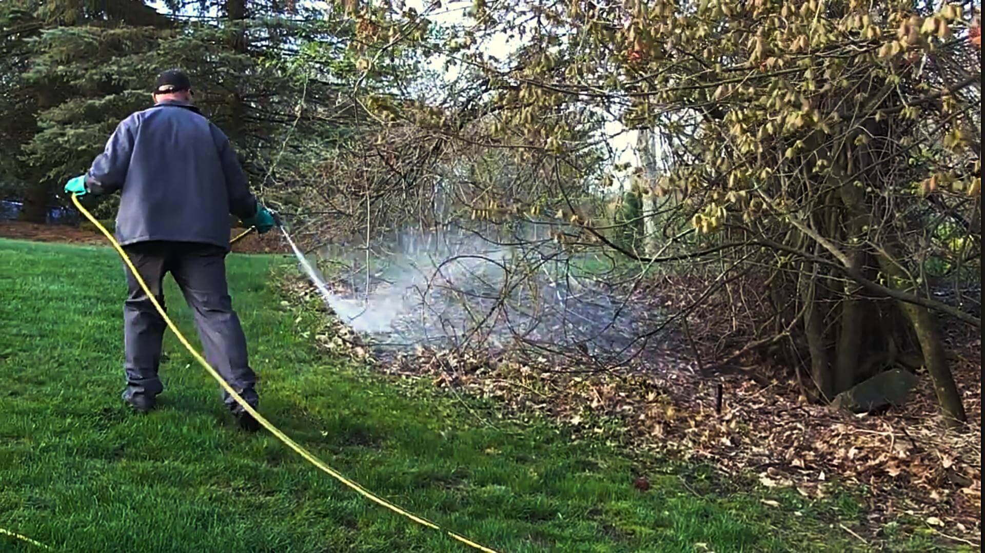 Richmond Flea and Tick Control Services