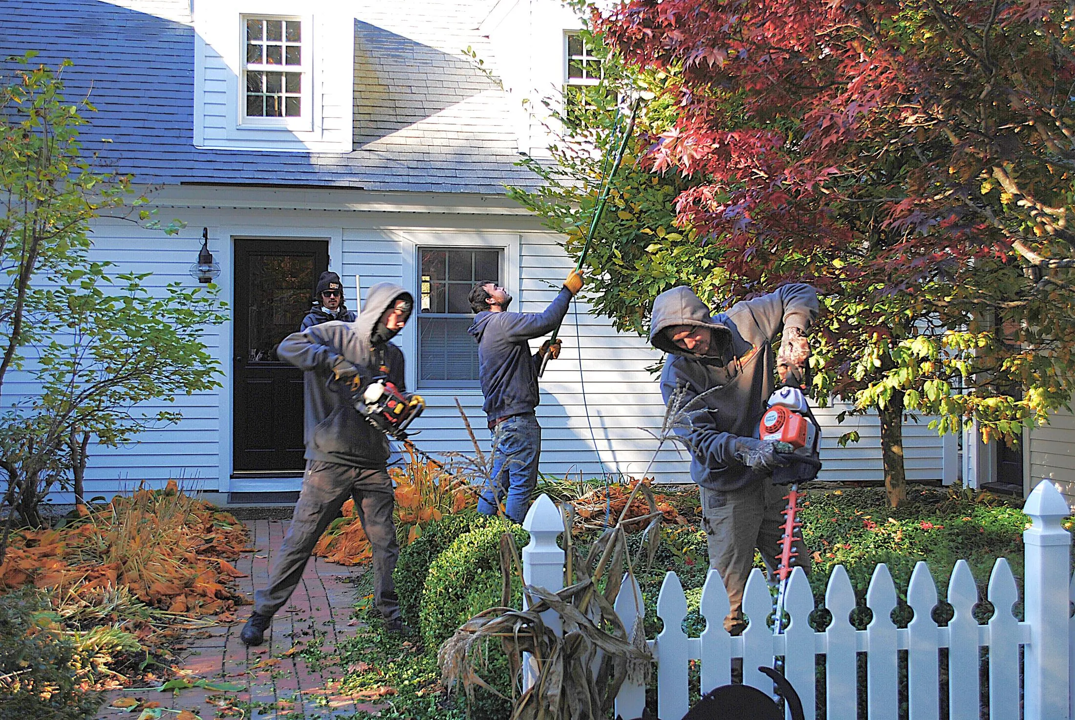Team of landscapers performing professional pruning with tools in a residential garden, showcasing techniques for tree and shrub maintenance.