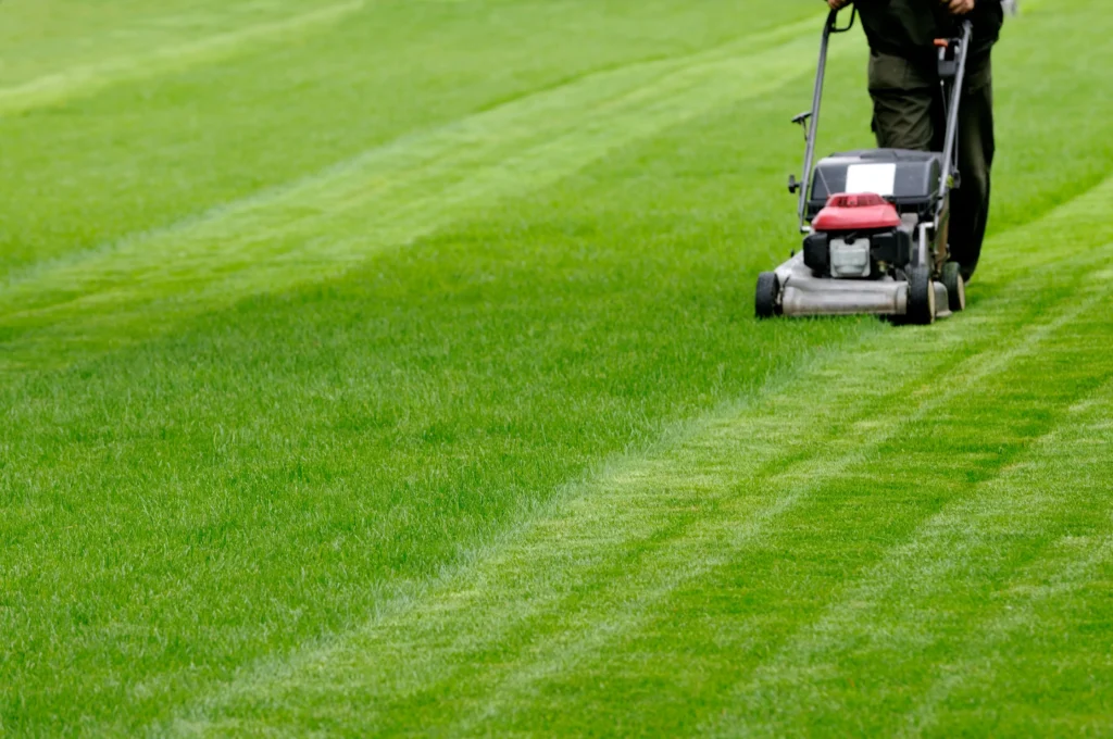 Person mowing a lush green lawn with a push mower.