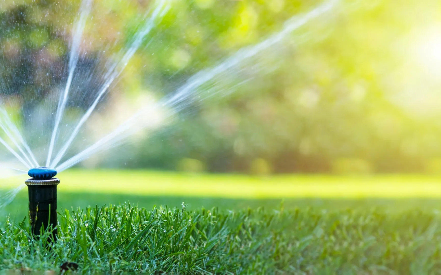 sprinkler watering a lawn in summer