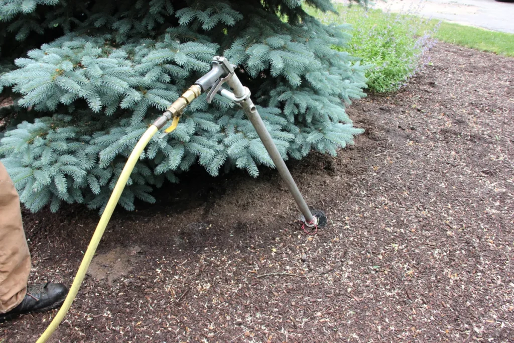 liquid tree fertilizer