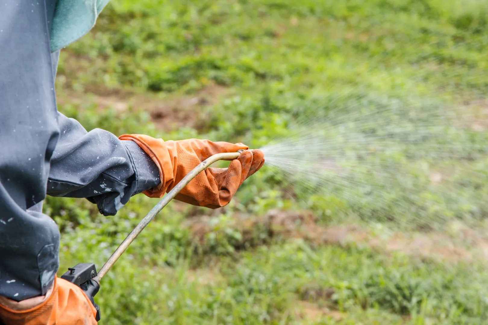 weed spraying