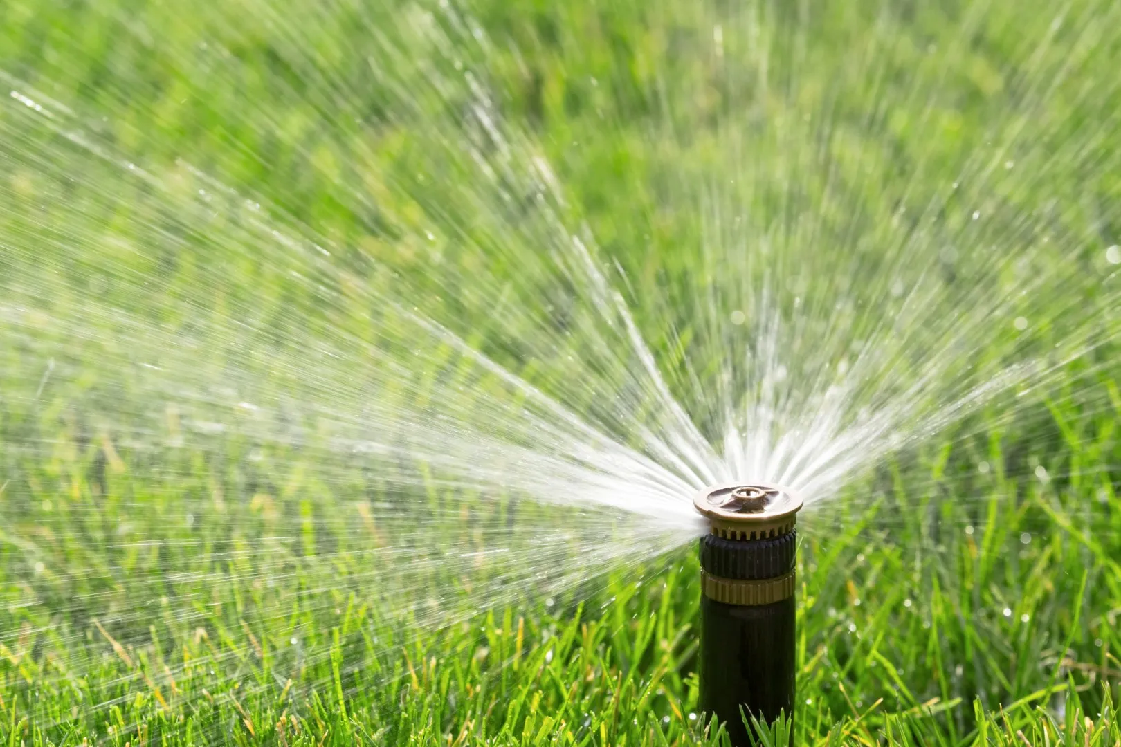 lawn sprinkler